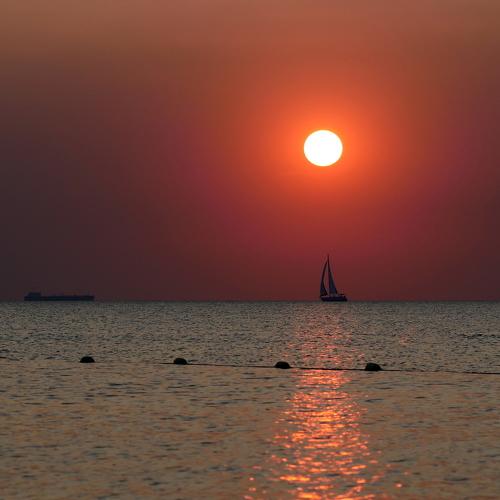 Photo #5179437