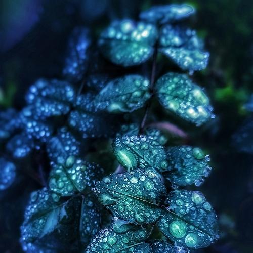 Photo #5179646