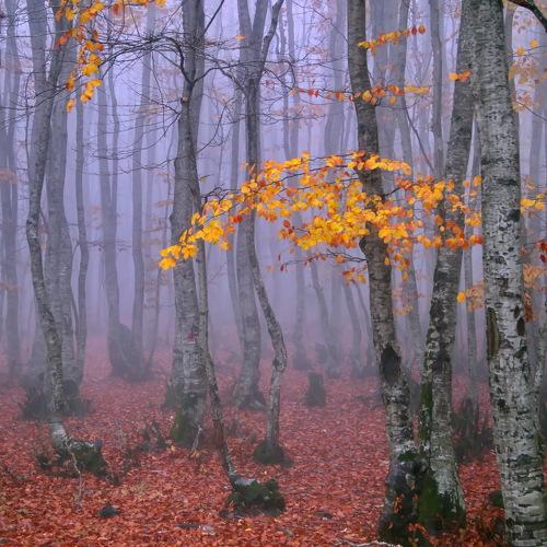Photo #5180062
