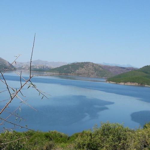 Photo #5180114