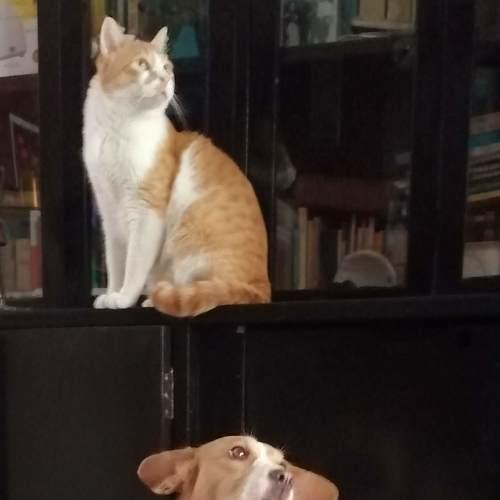 Photo #5180272