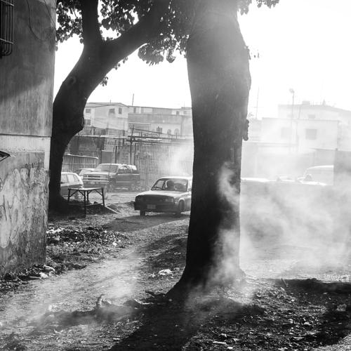 Photo #5180340