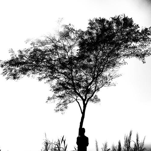 Tree Man
