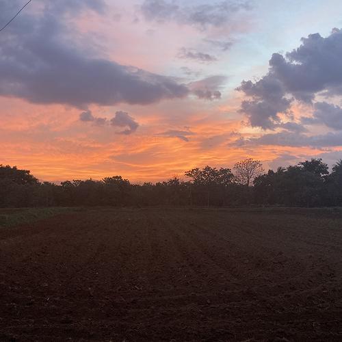 Photo #5180762