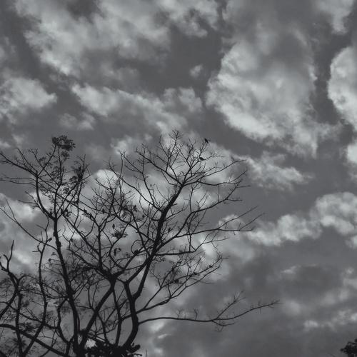 Photo #5180779