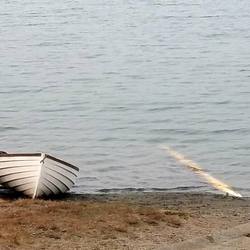 Photo #5180942