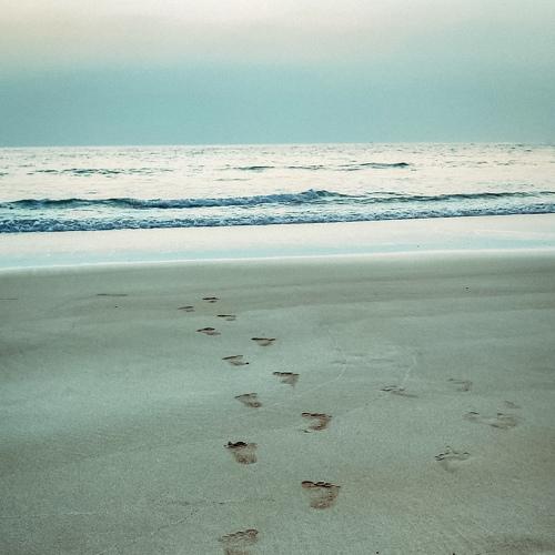 Photo #5180958