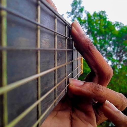 Photo #5181052
