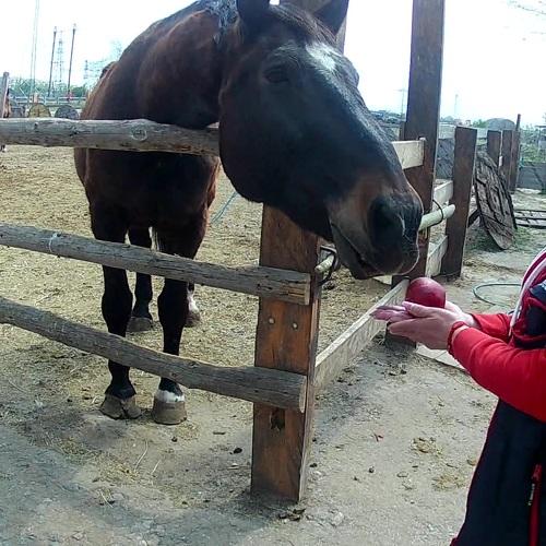 Photo #5181842
