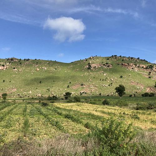 Photo #5182247