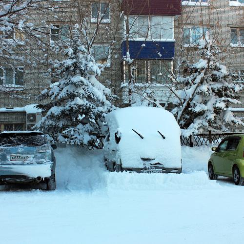 Photo #5182457