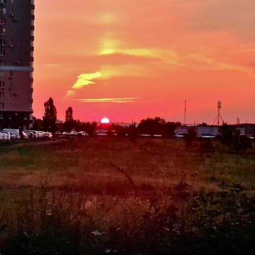 Photo #5182773