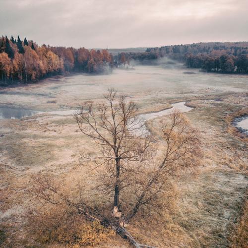 Photo #5182793