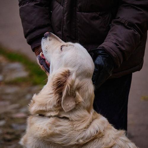 Photo #5183165