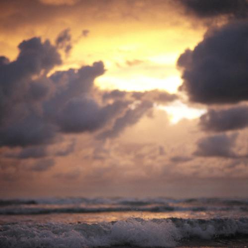 Photo #5183446