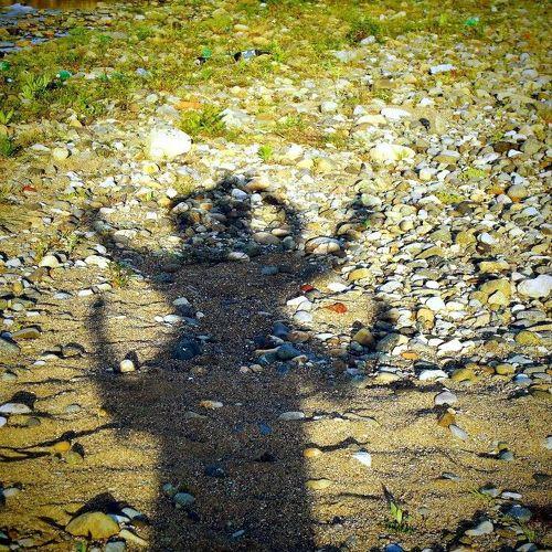 Photo #5183457