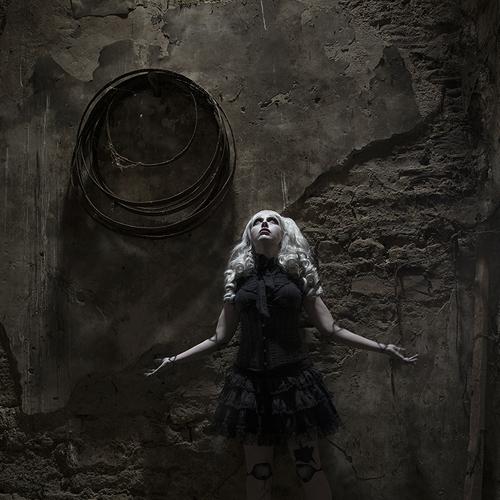 Photo #5183760