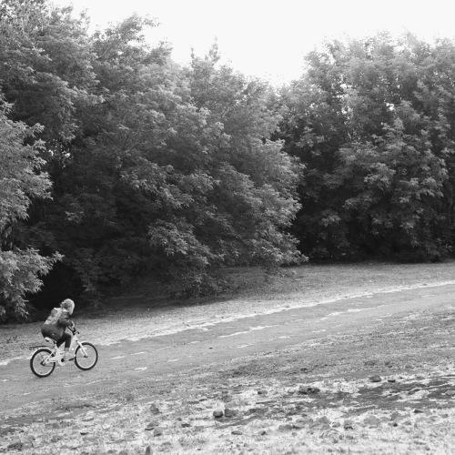 Photo #5185070