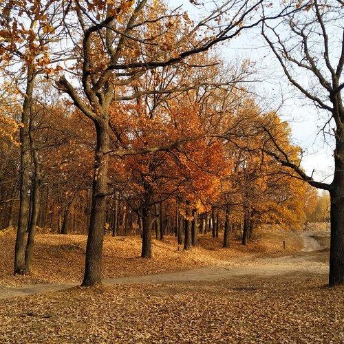 Photo #5185280