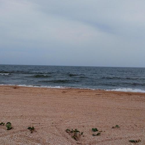 Photo #5185339