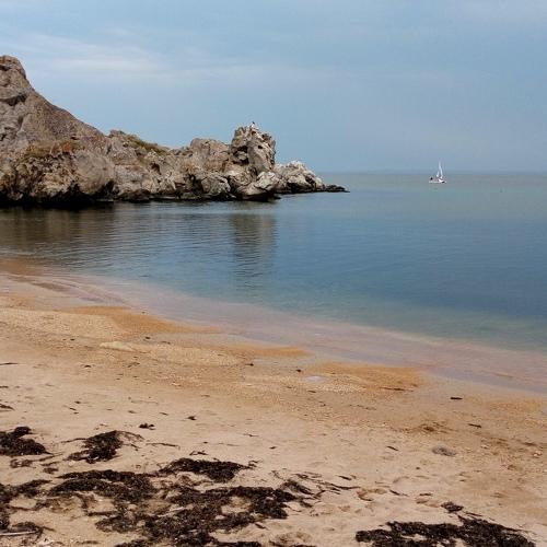 Photo #5185345