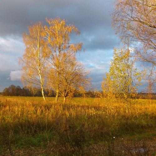 Photo #5185433