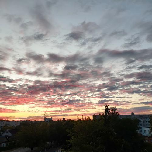 Photo #5185583