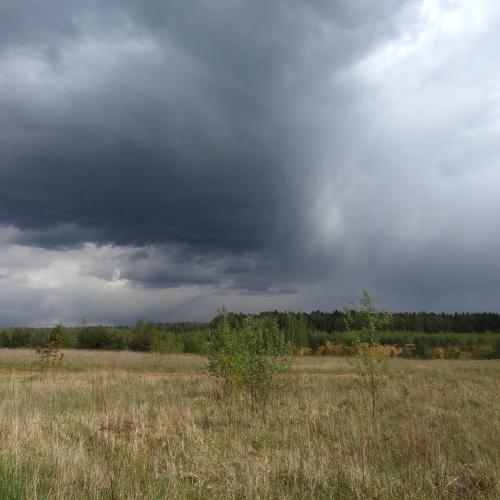 Photo #5185977