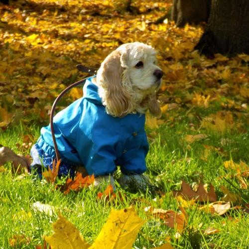 Photo #5187128