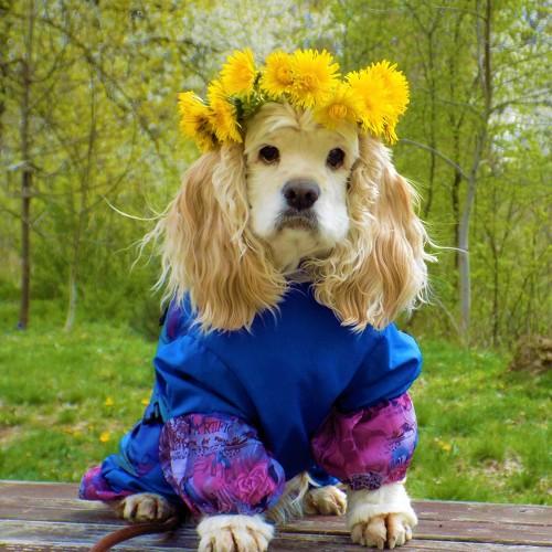 Photo #5187153