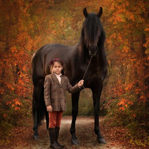 Autumn walk