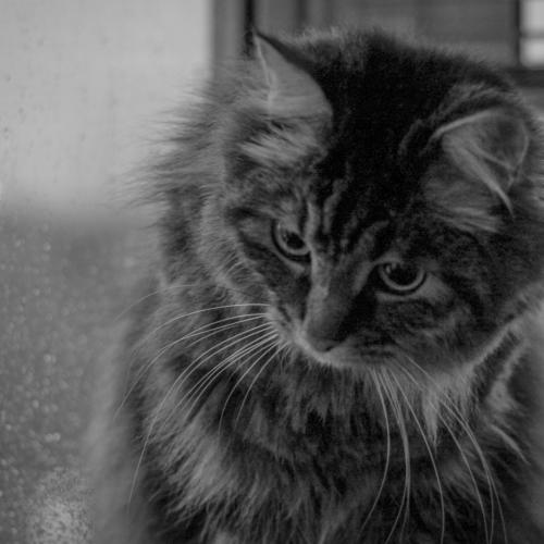 Photo #5187615