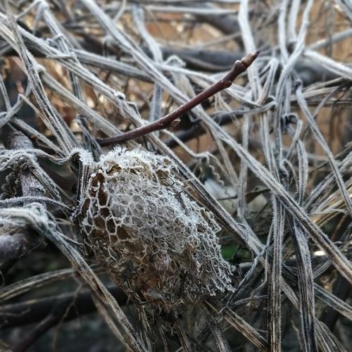 Photo #5187826