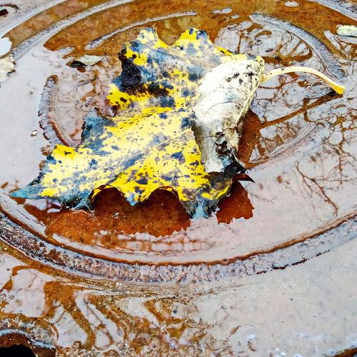 Photo #5188310