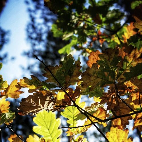 Photo #5188380