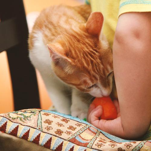 Photo #5189068