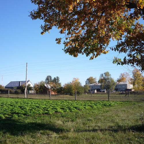 Photo #5189413