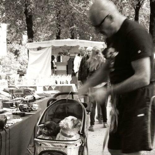 Photo #5190084