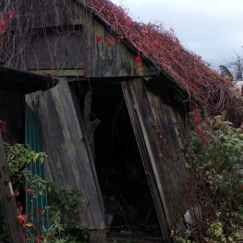 Photo #5190346