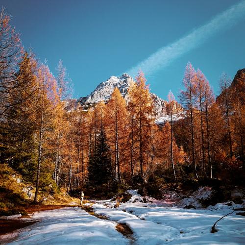 Photo #5190416