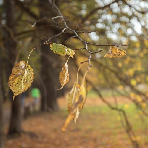 Photo #5190475
