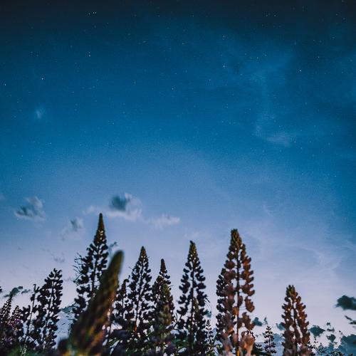 Photo #5190677