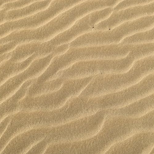 Photo #5190761