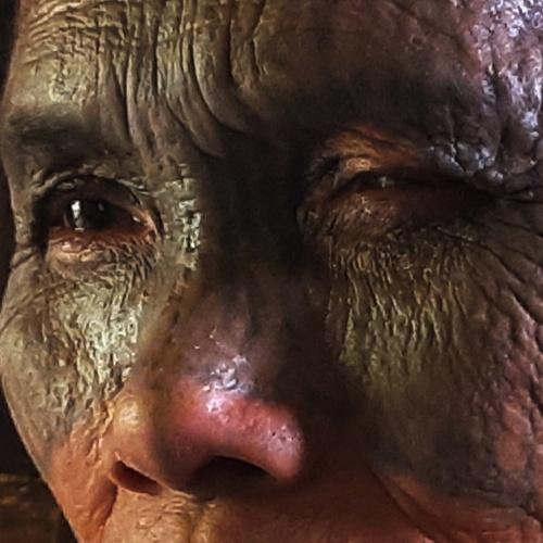 Photo #5191001