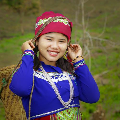 Photo #5191022