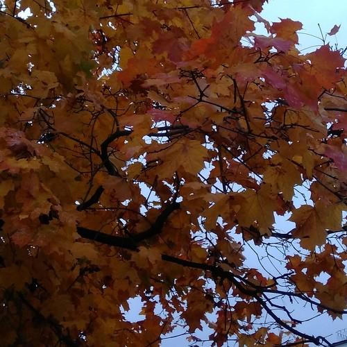 Photo #5191222