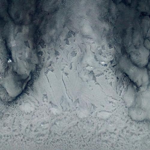 Photo #5191322