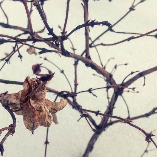Photo #5191368