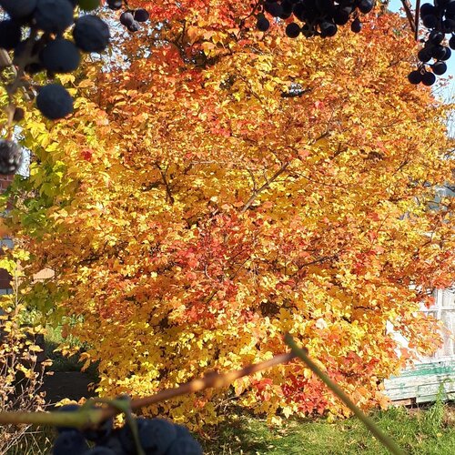 Photo #5191739