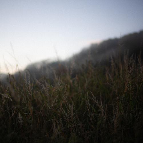 Photo #5192138